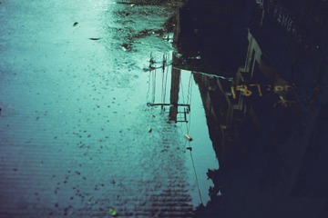 DSC07137.jpg