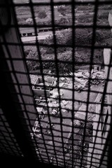 SDIM2855