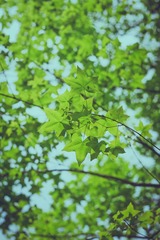 DSC08051.jpg