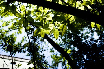 DSC00300.jpg