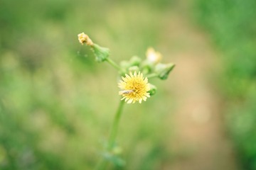 DSC00047.jpg