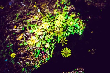 DSC00911.jpg