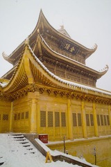 SDIM0901