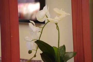 IMGP0325.JPG