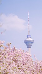 BD390A1F-6EB7-4052-BFAA-205B2FF130E1/L0/001