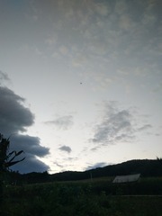 1068768