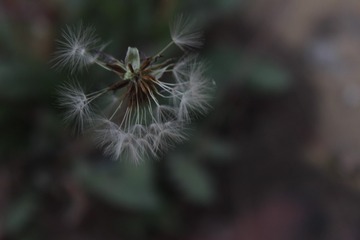 1282066