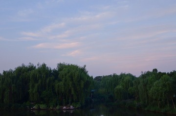 DSC_5686.jpg