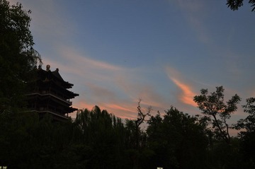 DSC_5696.jpg