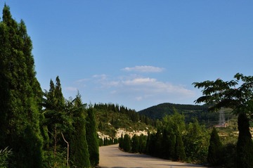 DSC_6616.jpg