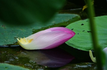 DSC_1670.jpg