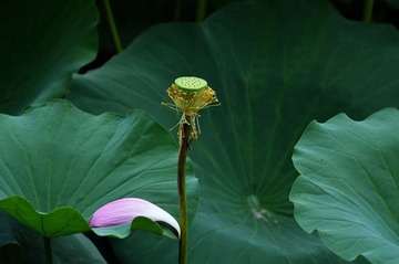 DSC_1695.jpg