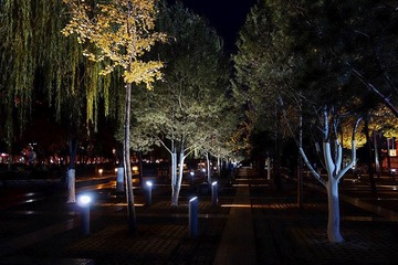 夜－黑卡测试.jpg