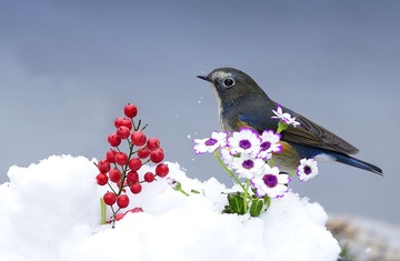 春节片4.jpg