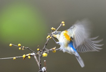 春节片5.jpg