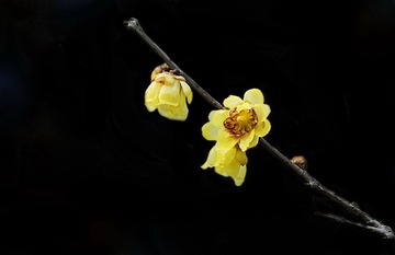 _DSC0615-2.jpg