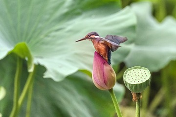 “DSC_7287”为智能对象-1