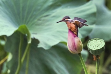 “DSC_7358”为智能对象-1