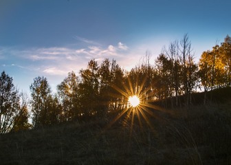 _DSC1596