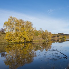 _DSC1617