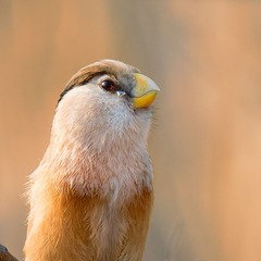 _DSC5145