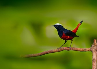 _DSC8343