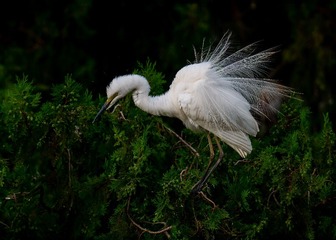 _DSC1751