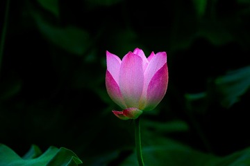 _DSC5768