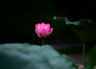 _DSC5859