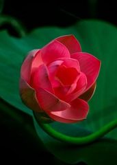 _DSC5919