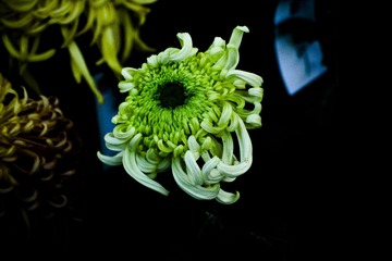 1205057