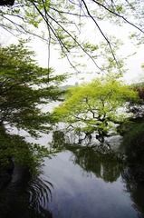 IMGP2221.jpg