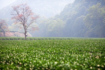 20121117-IMG_6443.jpg
