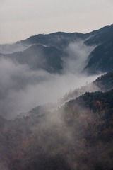 20121121-IMG_6872.jpg