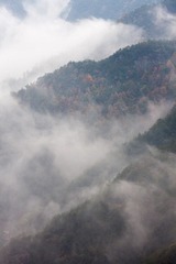 20121121-IMG_6875.jpg