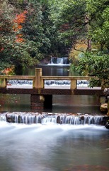 IMG_7512.jpg