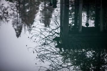 IMG_7519.jpg