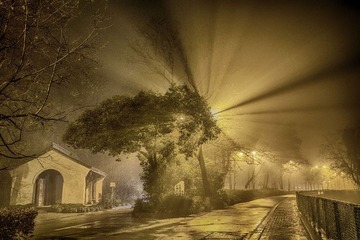 路边风景