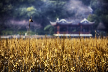 IMG_0016_HDR.jpg