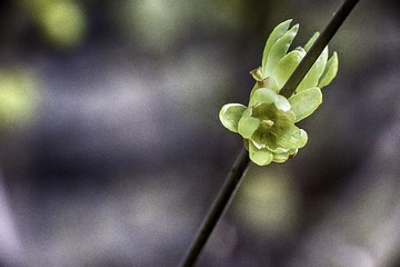 IMG_0379_HDR.jpg