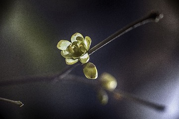 IMG_0386_HDR.jpg
