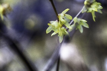 IMG_0412_HDR.jpg