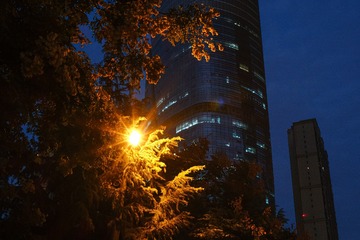 2986A6B8-9FB6-4149-9149-B520743295B6/L0/001