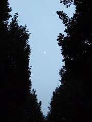 102810