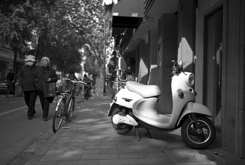 L1030725.jpg