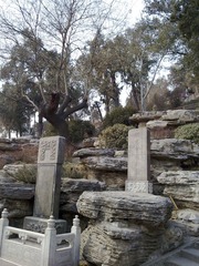 20100222387.jpg