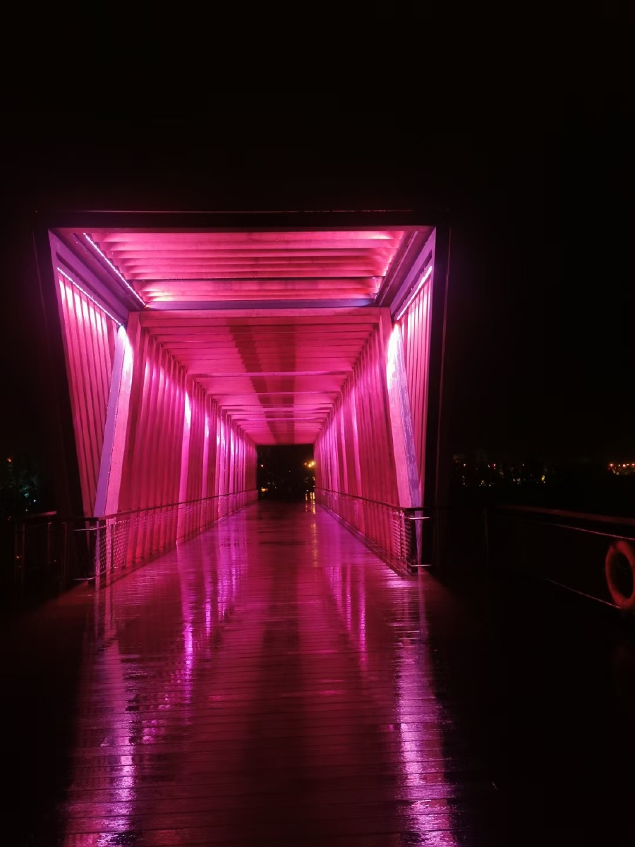 滴水湖夜景一隅