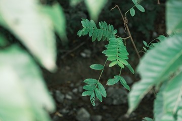 0B846F27-28F8-42C6-AB24-6983F1A09045/L0/001