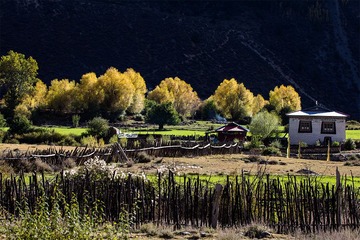 “IMG_2393”为智能对象-2