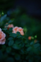 B1E35352-34C1-4952-BCB3-B19F2A9508A7/L0/001